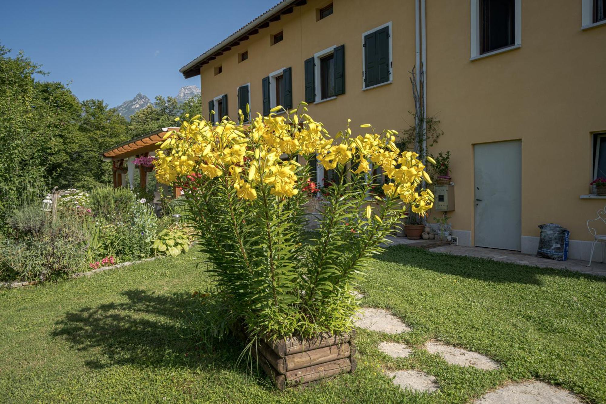 Bed & Breakfast Casa Edith