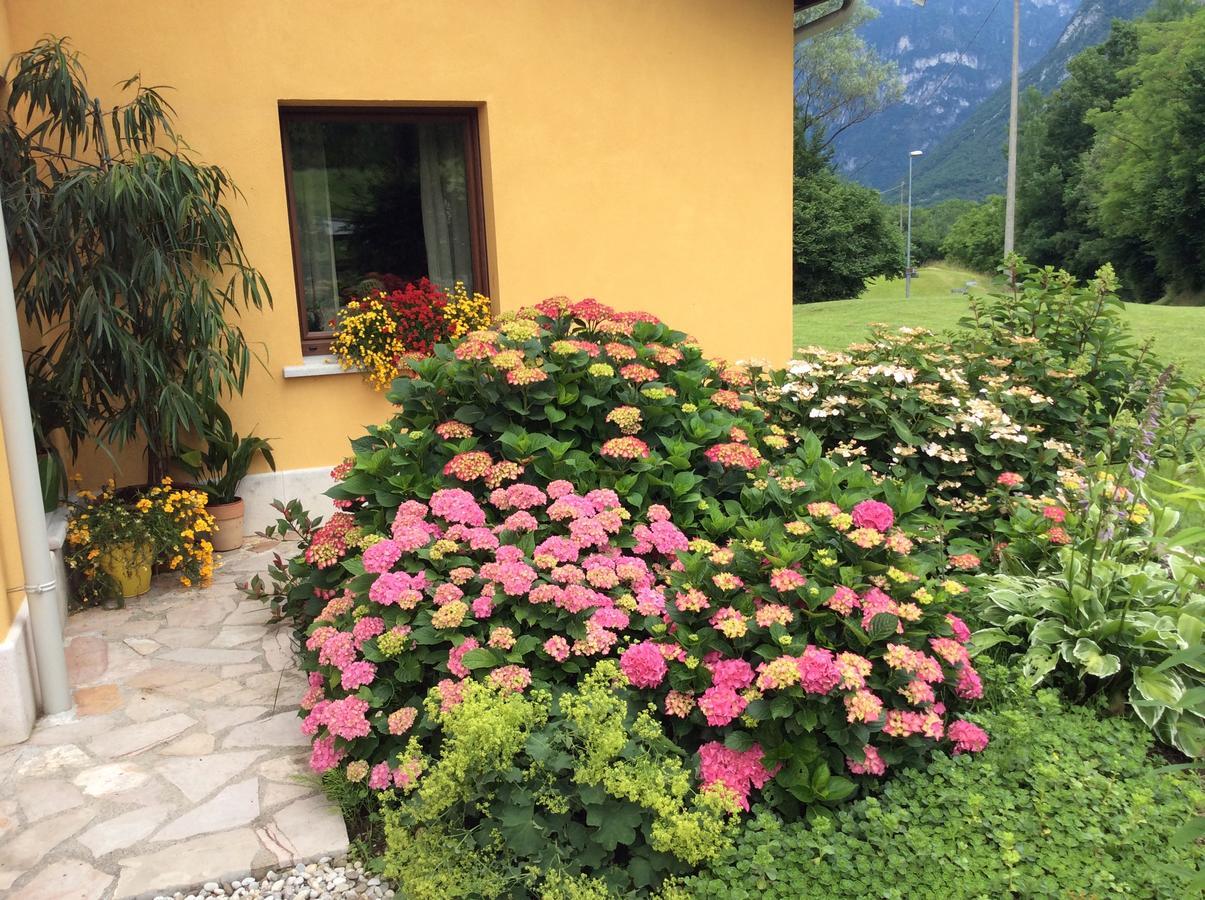 Casa Edith Bed & Breakfast *